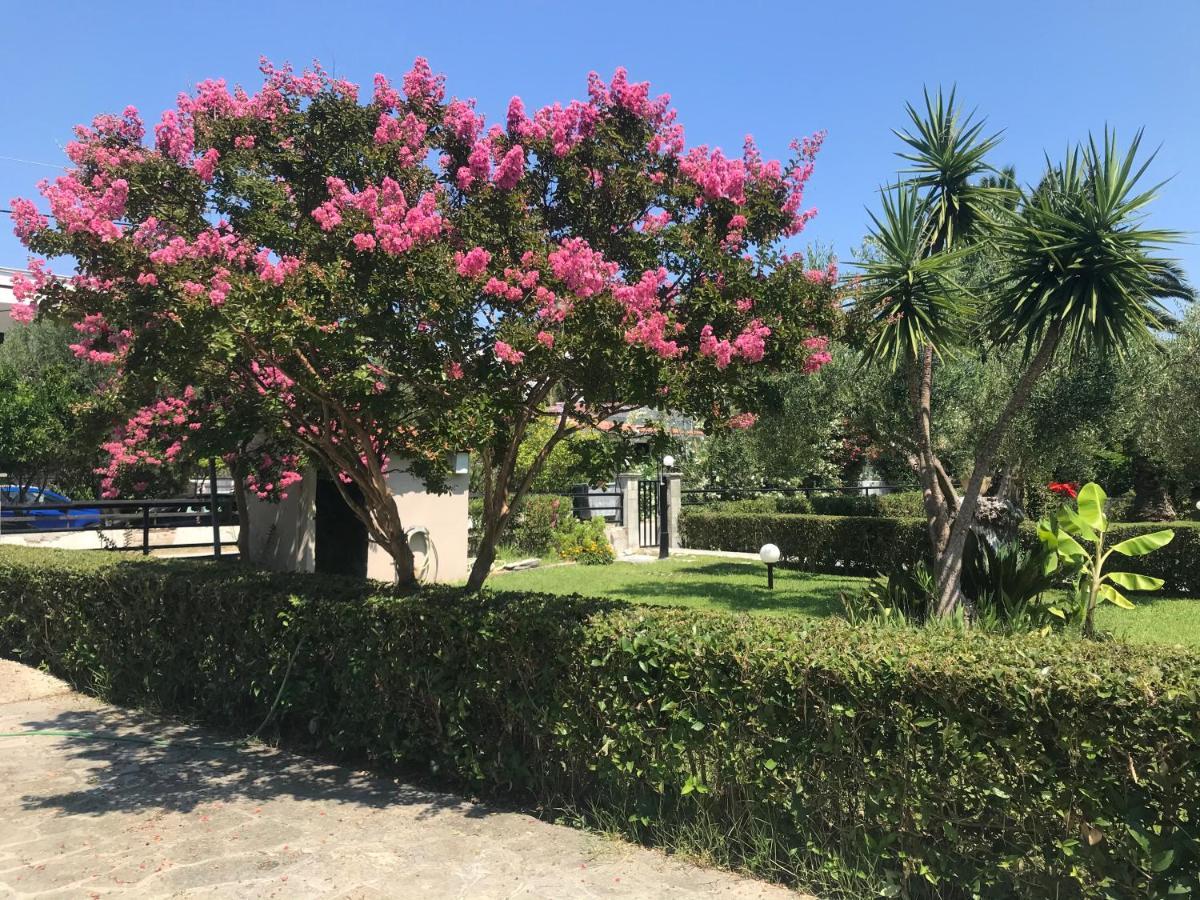 Villa Diamantis Apartments Hanioti Luaran gambar